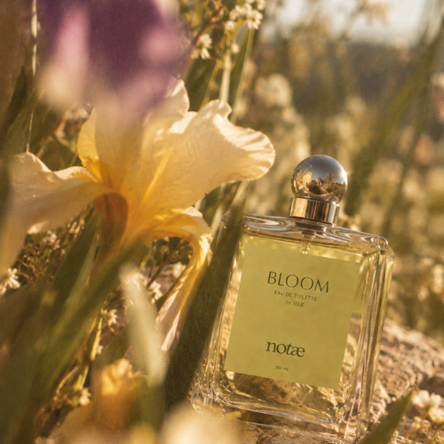 BLOOM
